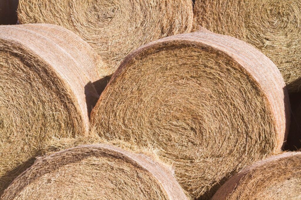 straw bales building material